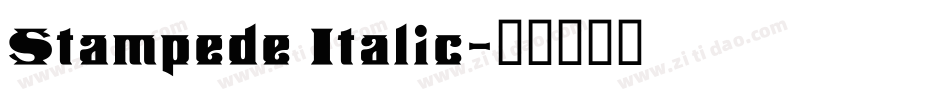 Stampede Italic字体转换